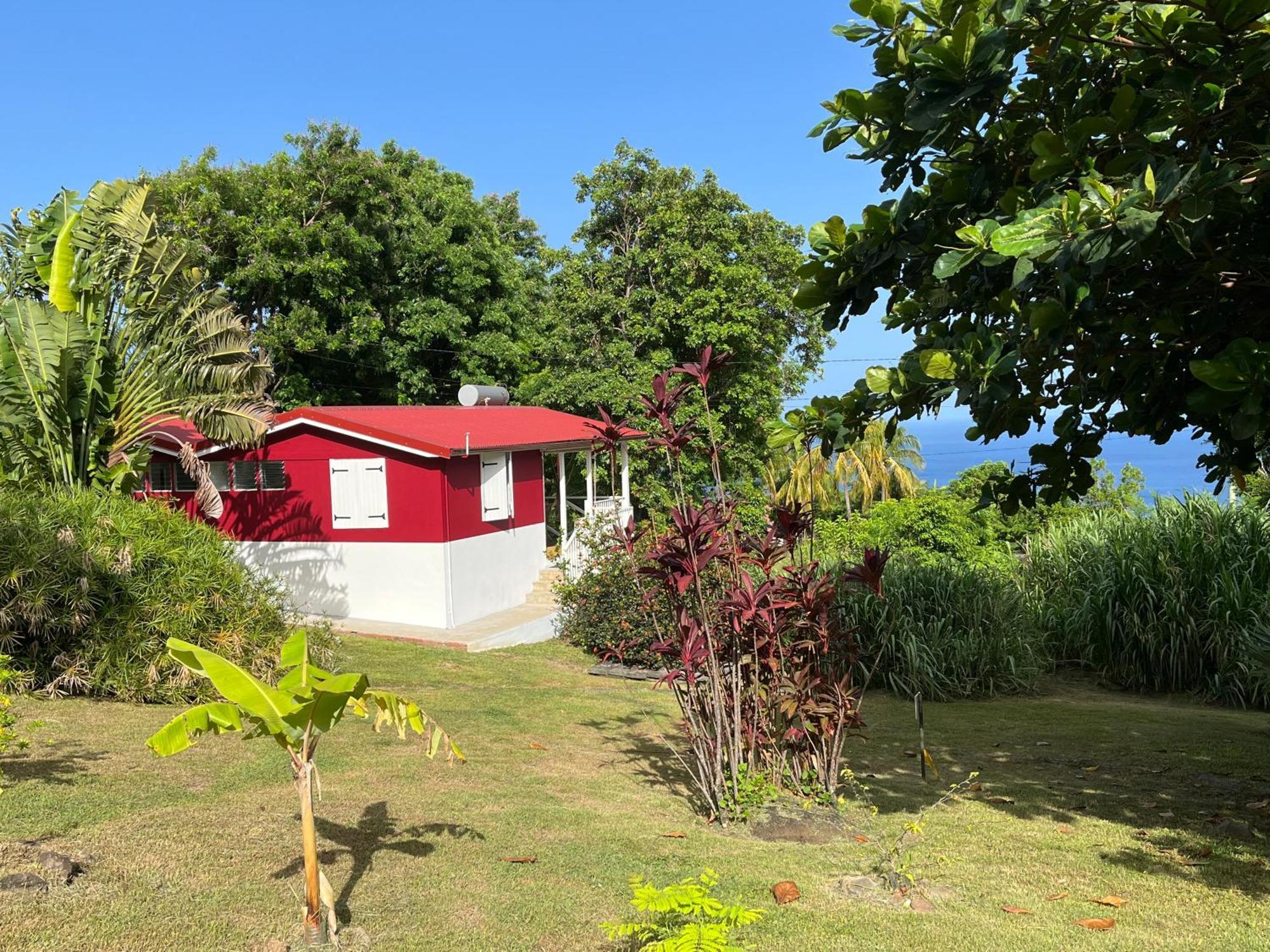 Grand Bungalow Avec Piscine Et Vue Mer 波尔兰特 外观 照片